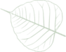 LEAF 1 LEAF 1