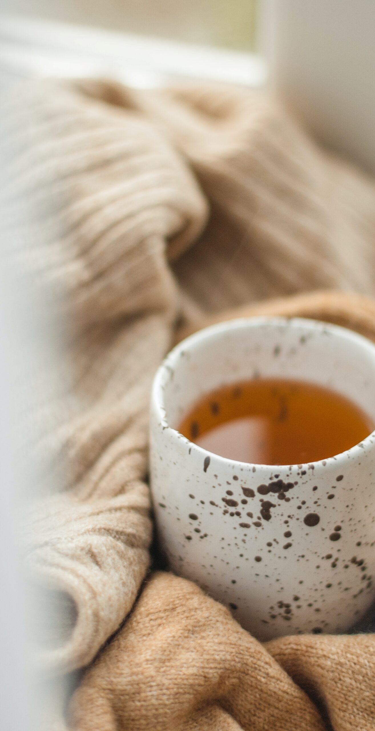 kate-hliznitsova-AE2_FndDfAU-unsplash kate-hliznitsova-AE2_FndDfAU-unsplash