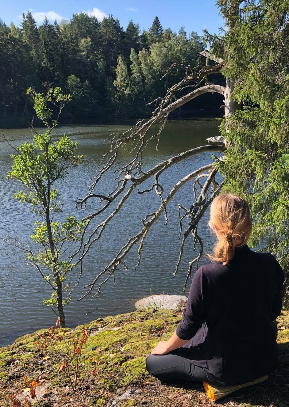 Meditaiton Meditaiton